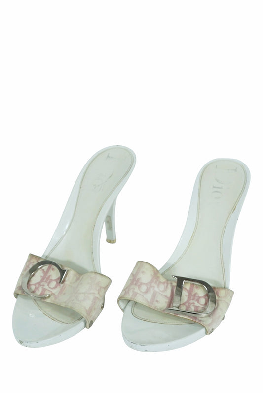 DIOR HEELS